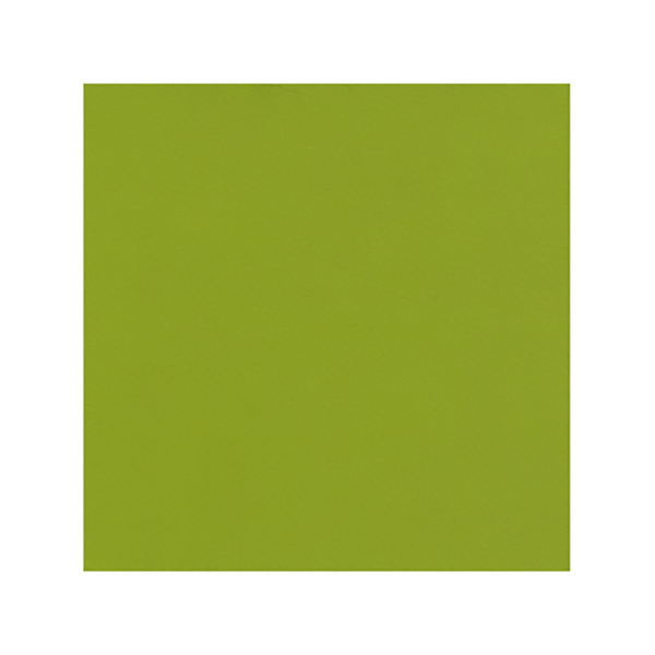 FEUILLE STRATIFIE L068 HPL 0,8MM POS 307*132 LEZARD EXM