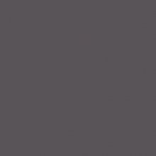 FEUILLE STRATIFIE G059 HPL 0,8MM POS 307X124 GRIS ORAGE