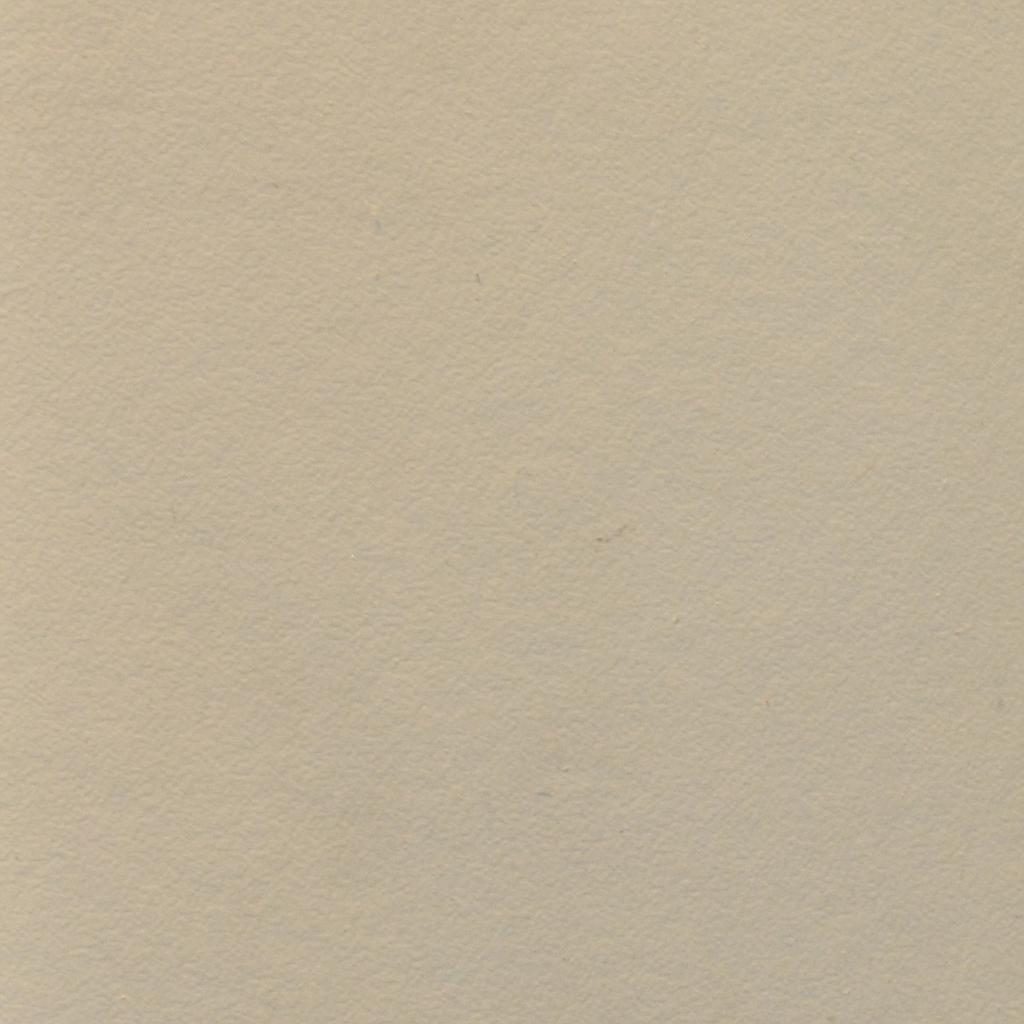 FEUILLE STRATIFIE C017 HPL 0,8MM POS 307X124 COQUILLE OEUF