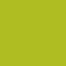 FEUILLE STRATIFIE P092 HPL 0,8MM POS 307X124 POMME VERTE