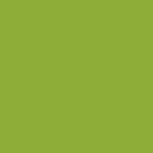 FEUILLE STRATIFIE C049 HPL 0,8MM POS 307X124 CACTUS