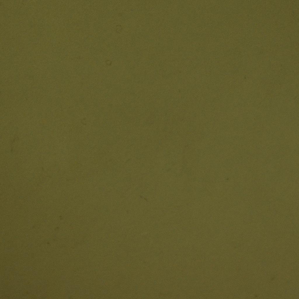 FEUILLE STRATIFIE K003 HPL 0,8MM POS 307X124 KAKI