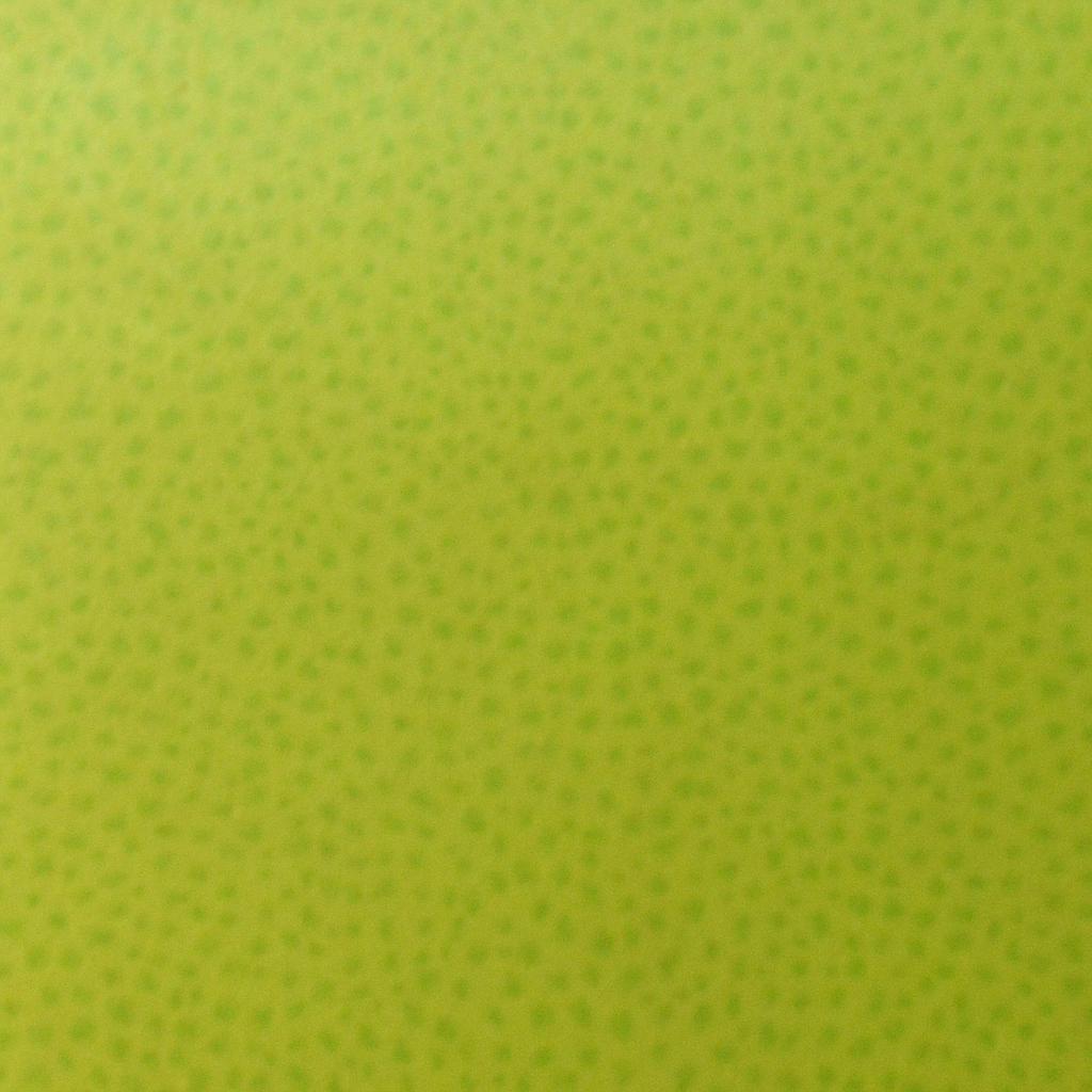 FEUILLE STRATIFIE Z021 HPL 0,8MM POS 307X132 ZESTE CITRON VERT