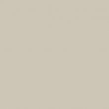 FEUILLE STRATIFIE B116 HPL 1MM 307*124 BEIGE NATURE BRI+FS