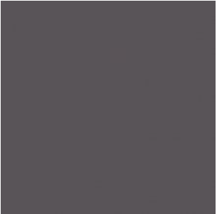 STRATIFIE C025 HPL 0,8MM POS 307X132 ERABLE WENGE