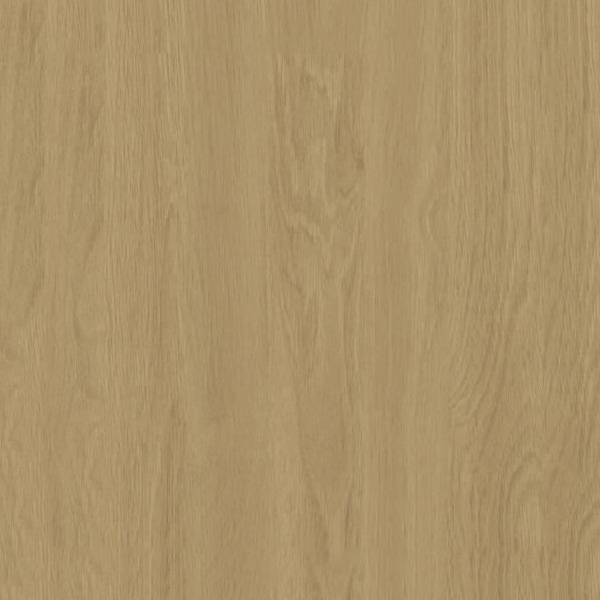 POLYREY COMPACT EXT STD 2600X1850X8MM C005 CHENE PER.