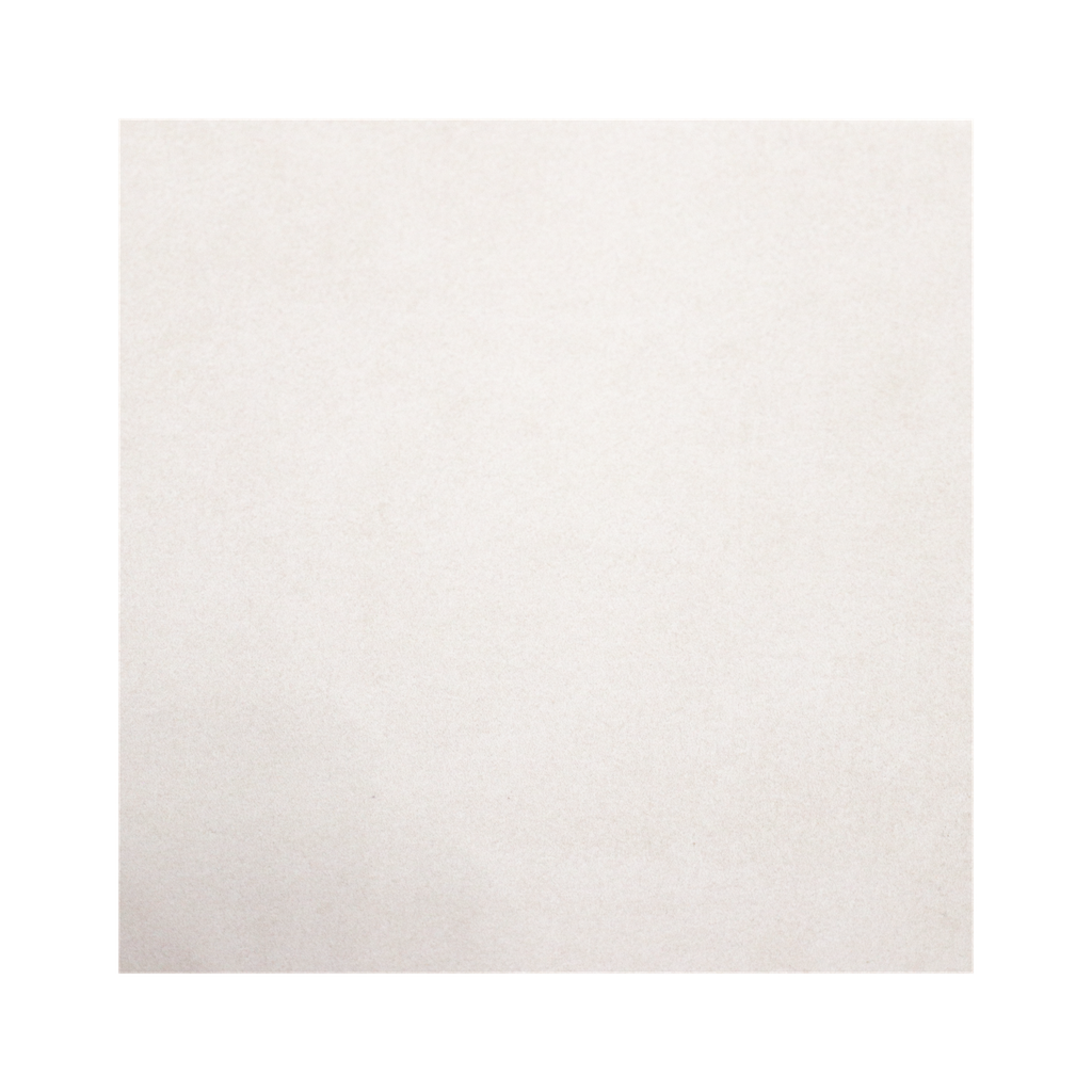 CARREAU 60X60 P.E TITANIO BLANCO MT (CX4PCS=1,44M2/CTN)