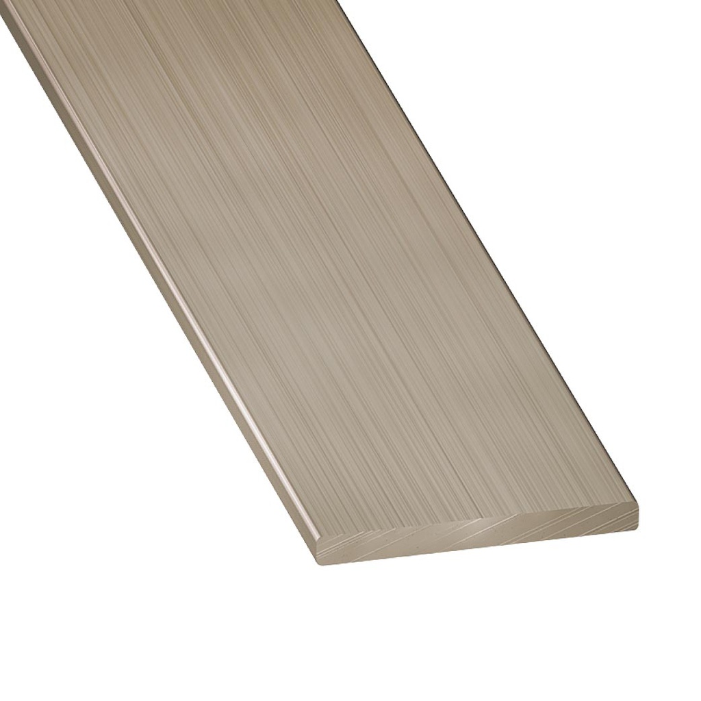 PLAT INOX MAT 25X3-1M