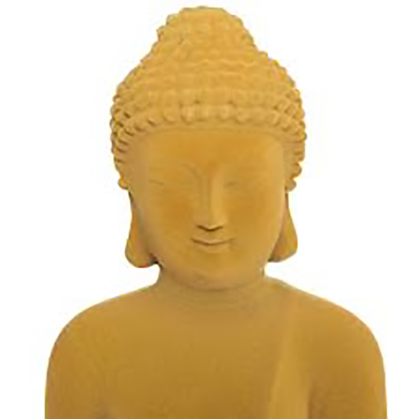 BOUDDHA ASSIS FLOQUE NAM H23