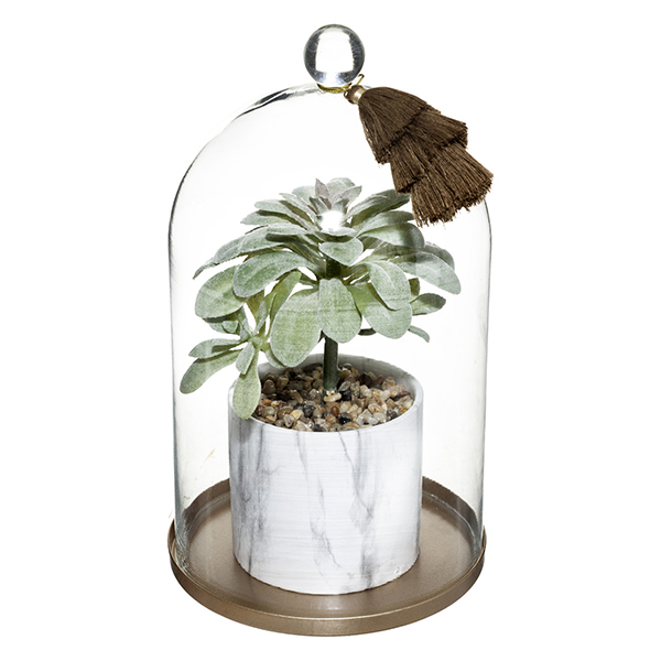 PLANTE + CLOCHE BASE MET SUITE