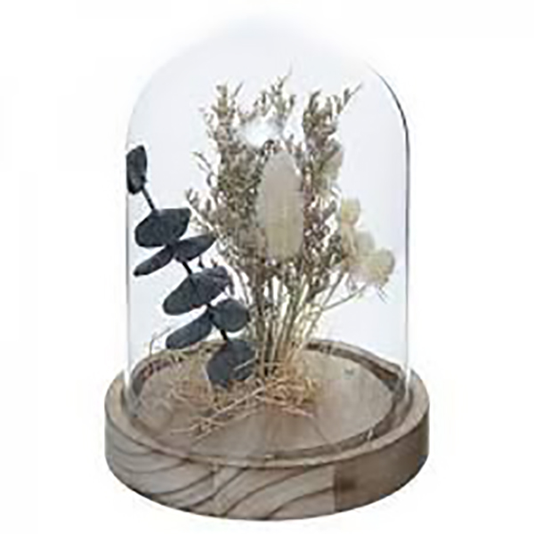 CLOCHE FLEUR SECHE HOUSE H16.5