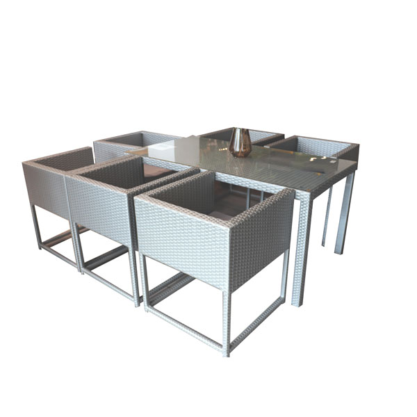 ENSEMBLE TABLE + 6 CHAISES