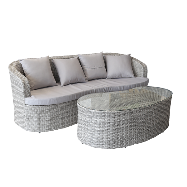 SOFA + TABLE BASSE
