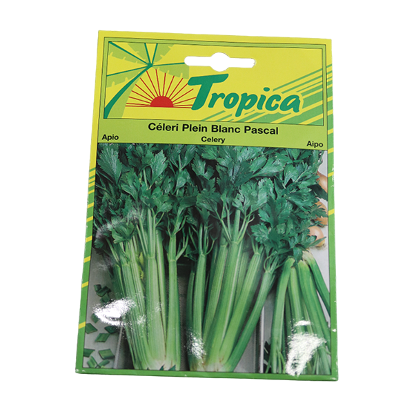 CELERI PLEIN BLANC PASCAL 2 G tr