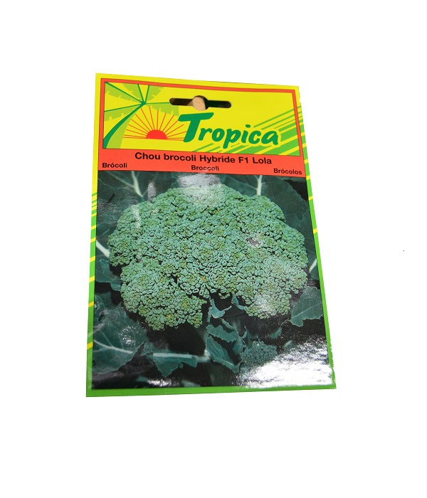CHOU BROCOLI F1 TROP 50 GRAINE