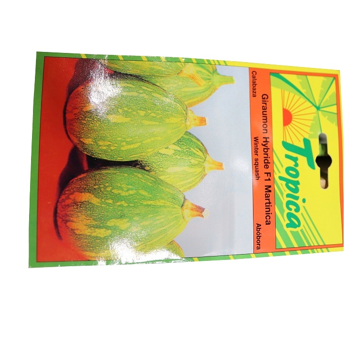 GIRAUMON MARTINICA F1 TROP 12 GRAINE