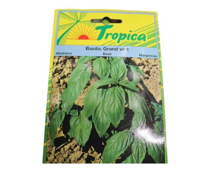 BASILIC GRAND VERT 1000 GRAINE tr
