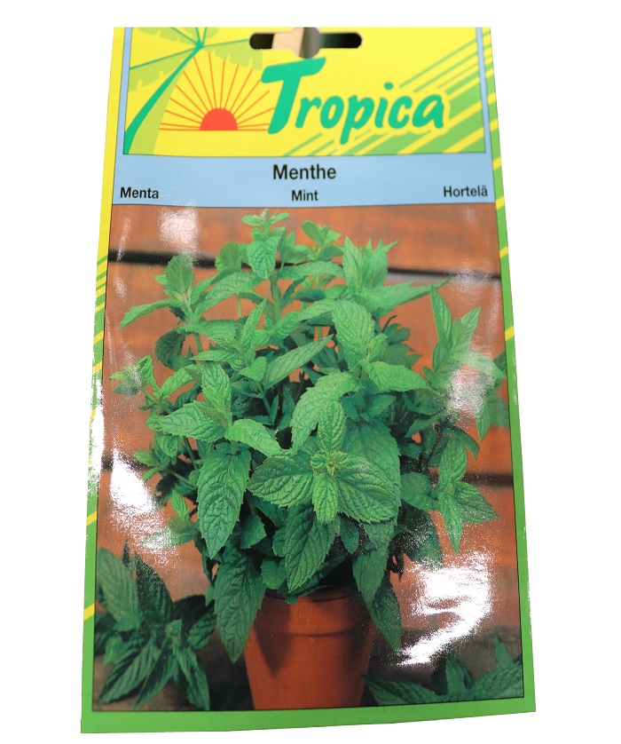 MENTHE A FEUILLES RONDES 0,1G tr