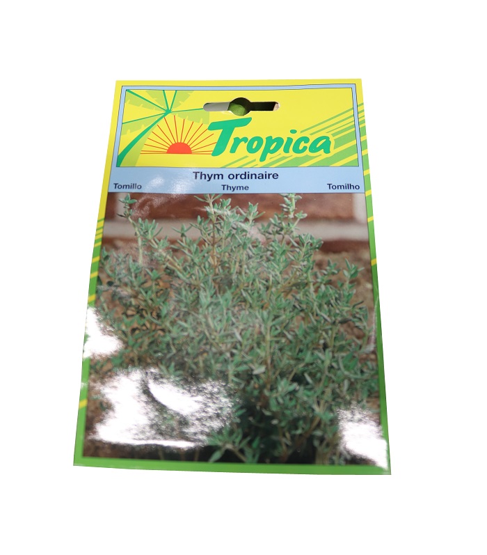 THYM ORDINAIRE 0,5 G tr