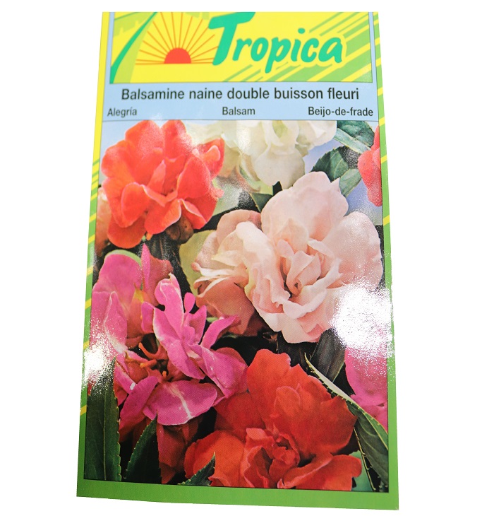 BALSAMINE NAINE DOUBLE BUISSON FLEURI 50 GRAINE tr
