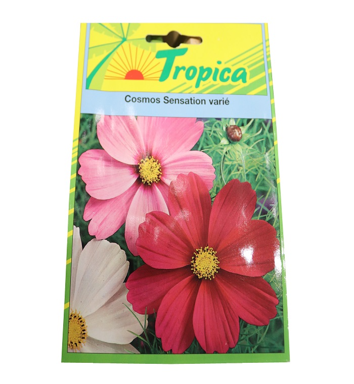 COSMOS SENSATION VARIE TROP 140 GRAINE tr