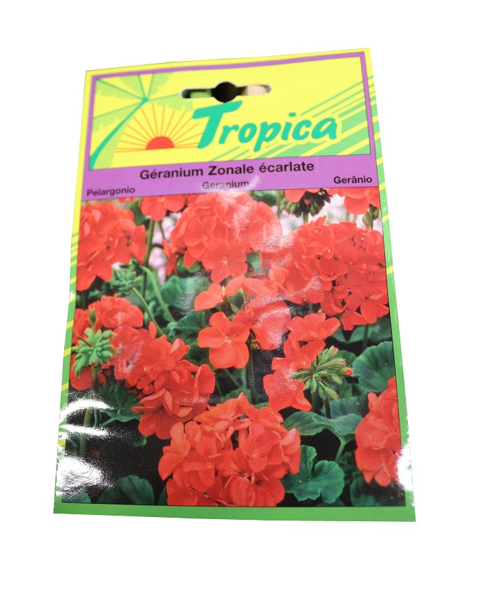 GERANIUM ZONALE VARIE 0,1 G tr