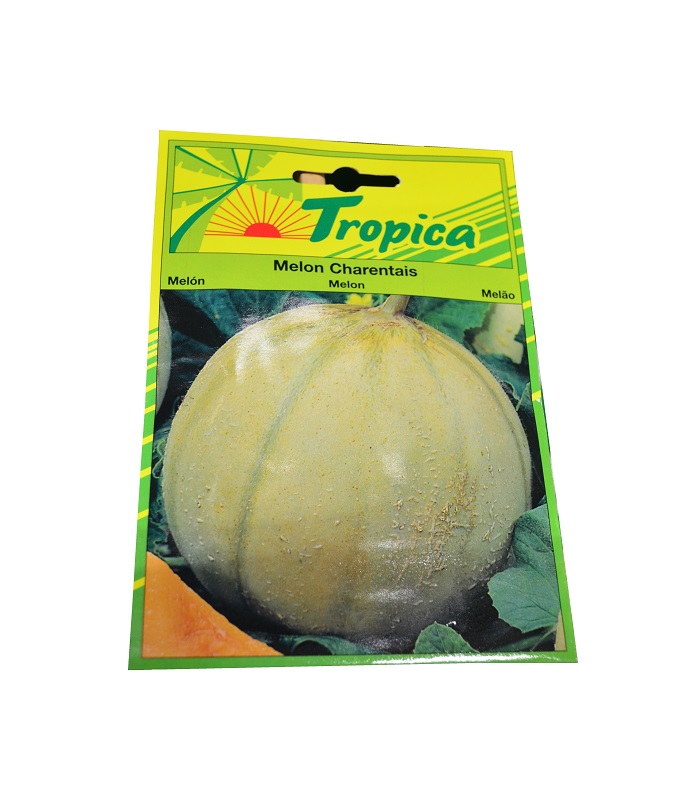 MELON CHARENTAIS TROP 30 GRAINE tr