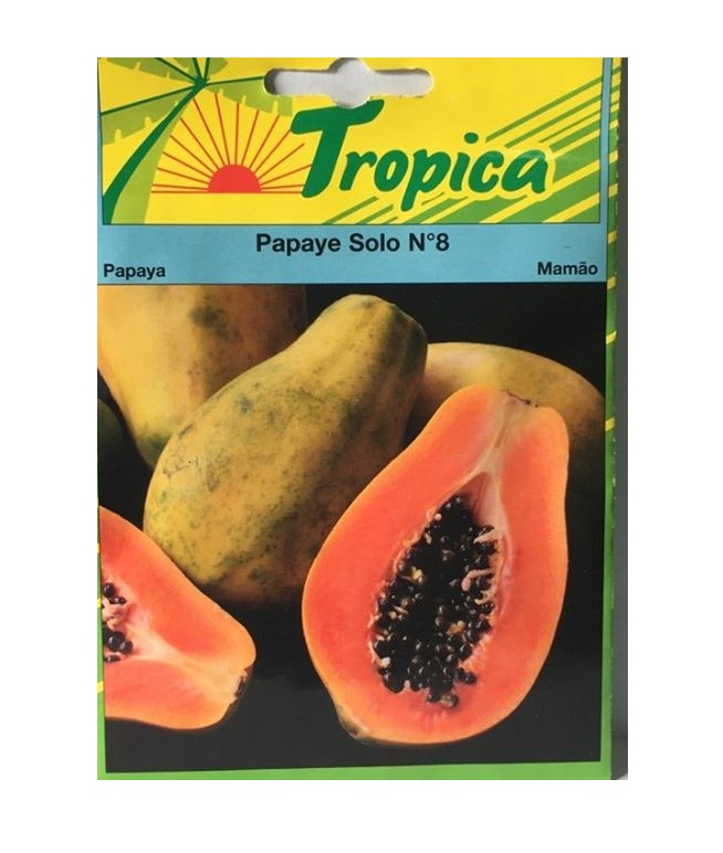PAPAYE RANA TOP 10 GRAINE tr