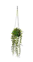 SUSPENSION  CIM LIVING H10,5