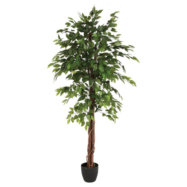 FICUS ARTIF BICO H180