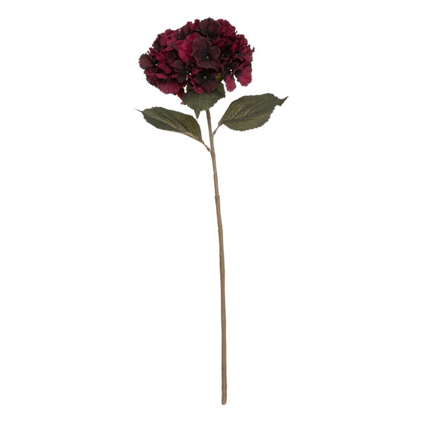 TIGE HORTENSIA RUBIS H83