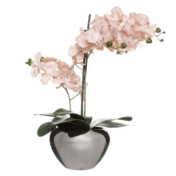 ORCHIDEE ROSE POT ARGENT H57