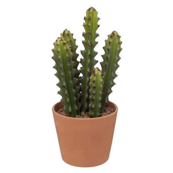 CACTUS POT TERRA ALI H30