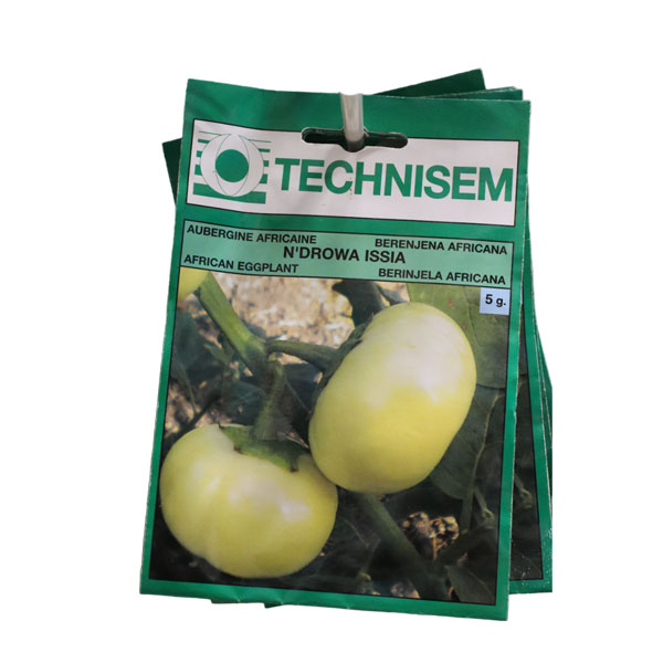 AUBERGINE AFRICANE N'RDOWA ISSIA (angivy) tr