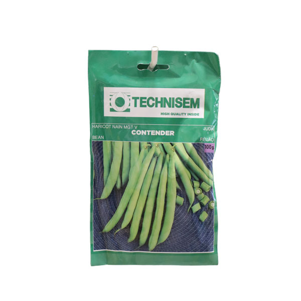 HARICOT VERT CONTENDER *