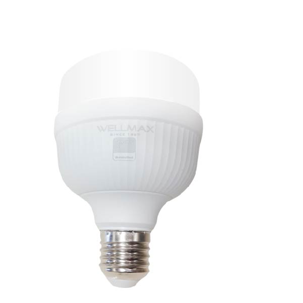 BALLET T BULB-PP 20W 6500K