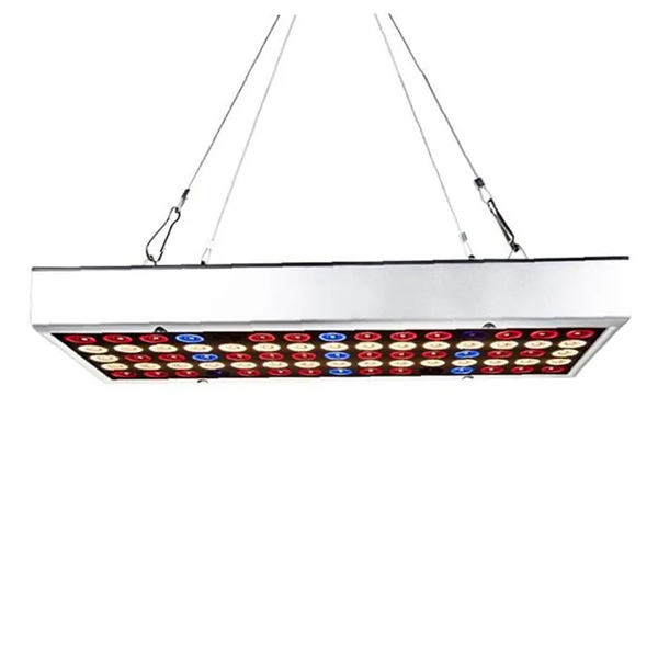 LAMPE A POSER VERRE + INTERIEUR PLANTE 6 LED 2700K IP44