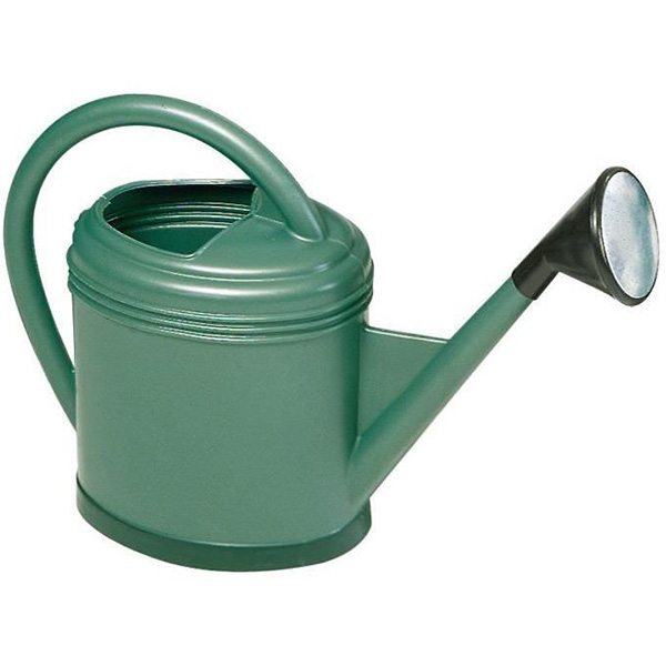 ARROSOIR 12L