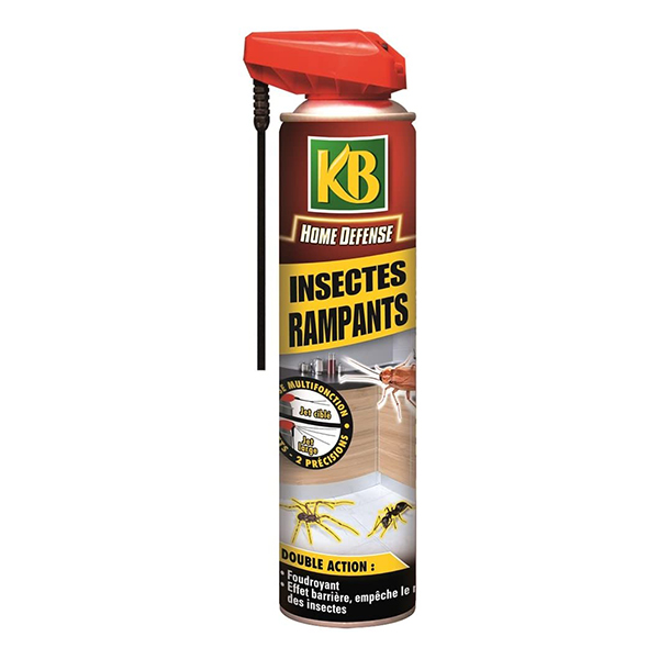 Aérosol fourmis araignées 400 ML - BAI (21/crtn)