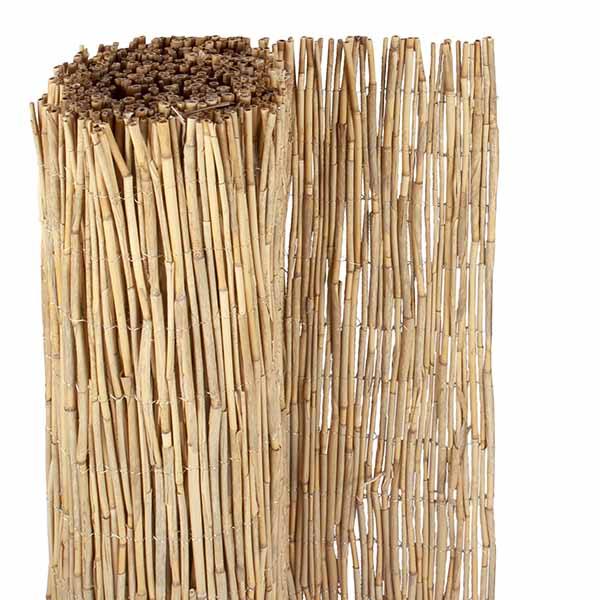 CANISSE NANTAI 100X600CM / PAILLON DE ROSEAU NON PELE NANTAI