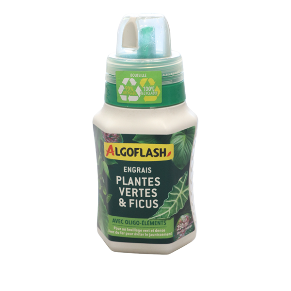 Engrais liquide plantes vertes et ficus 250ML - ALGOFLASH