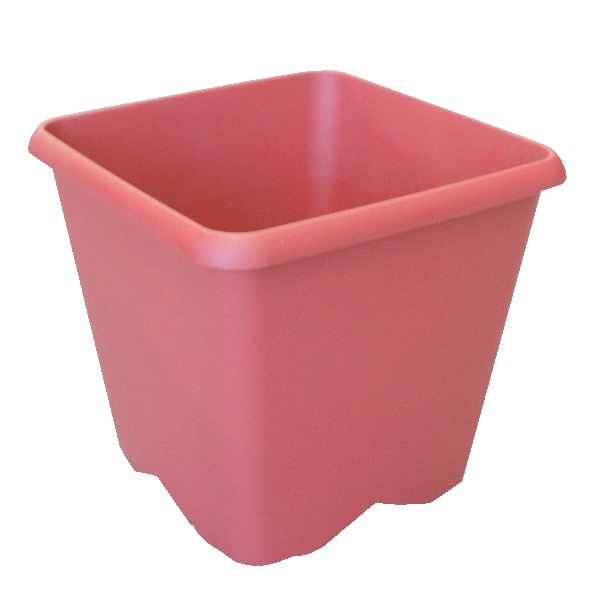 POT CHORUS CARRE 19,5 CM - 4,3L ROUGE RUBIS