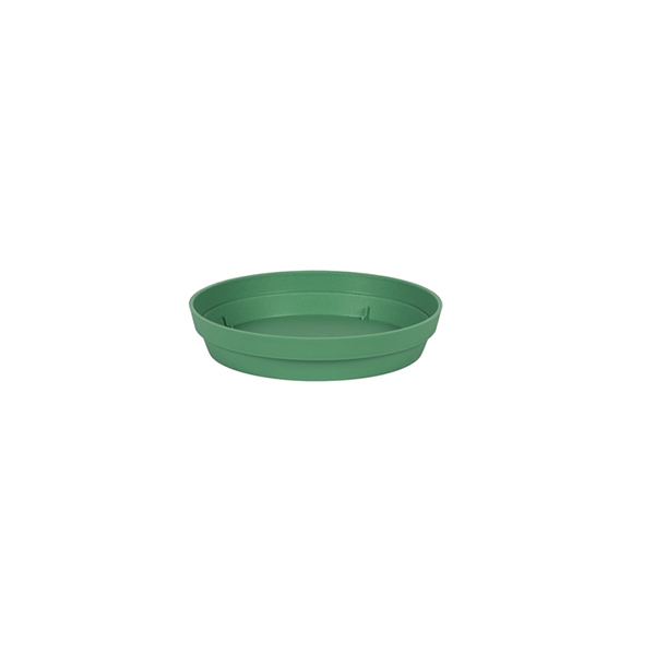 SOUCOUPE TOSCANE 15 VERT JUNGLE