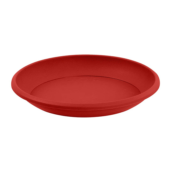 SOUCOUPES MARINA DIAM 17 ROUGE RUBIS