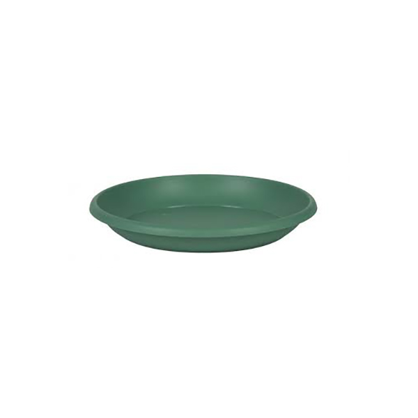 SOUCOUPES MARINA DIAM 17 VERT JUNGLE