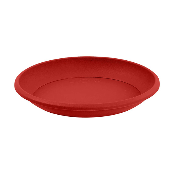 SOUCOUPES MARINA DIAM 34 ROUGE RUBIS