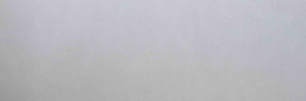 CARREAU 40X120 NEUTRAL BLANC (CX3PCS=1,44M2/CRT)