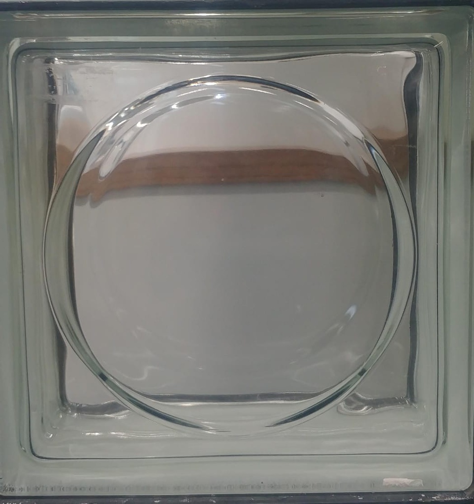 BRIQUE DE VERRE EUROPEEN EP 80MM 190X190MM ALPHA VE