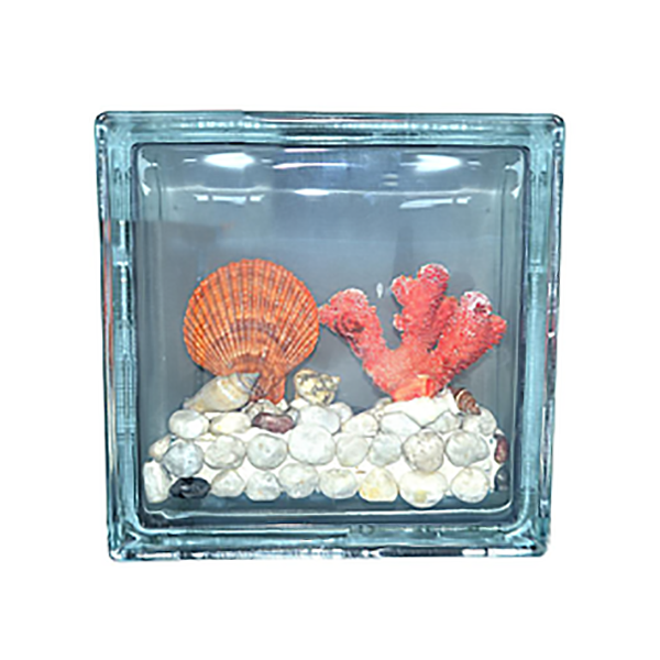 BRIQUE DE VERRE A MOTIF EP 80MM 190X190MM H-2