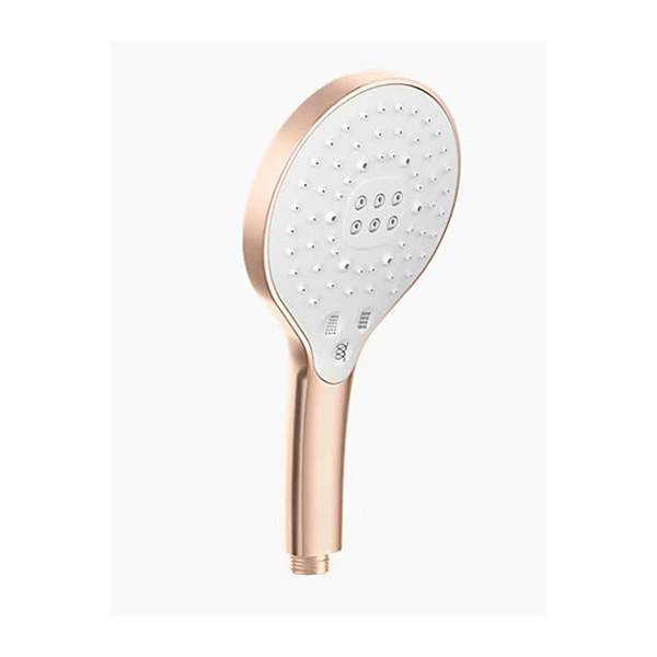 GARNITURE DE DOUCHE BROSSE 3JETS RGD